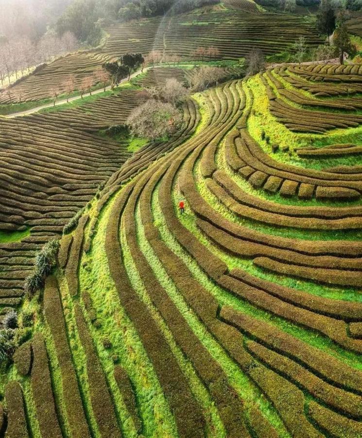 Cantinho Do Sonho Maia  外观 照片